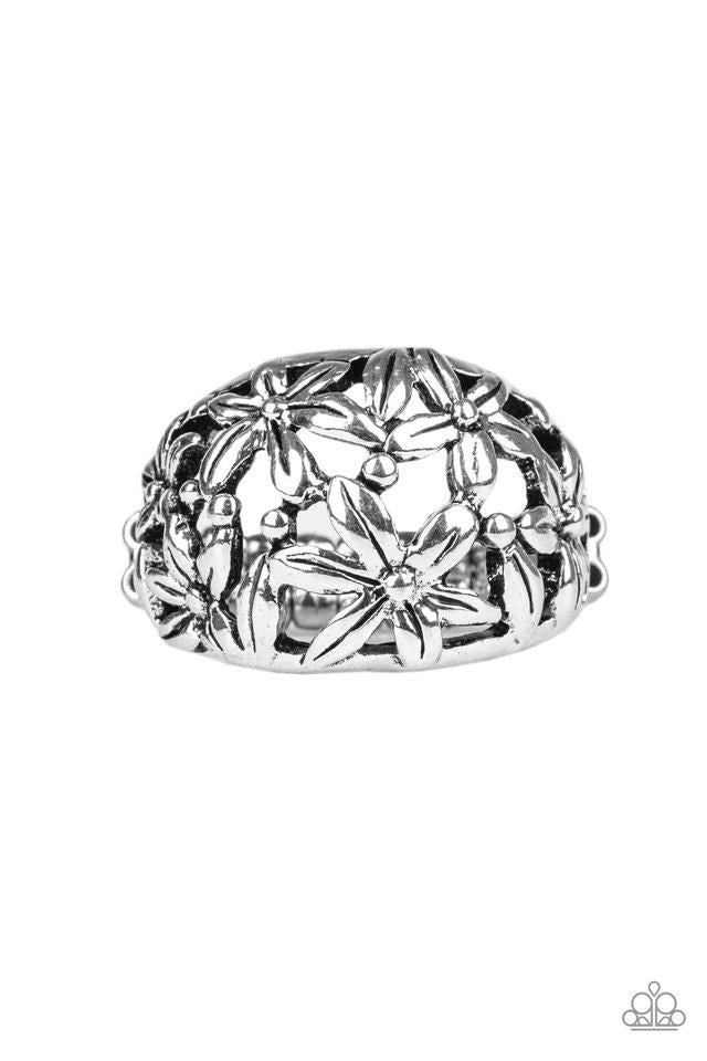 Haute Havana - Silver Ring
