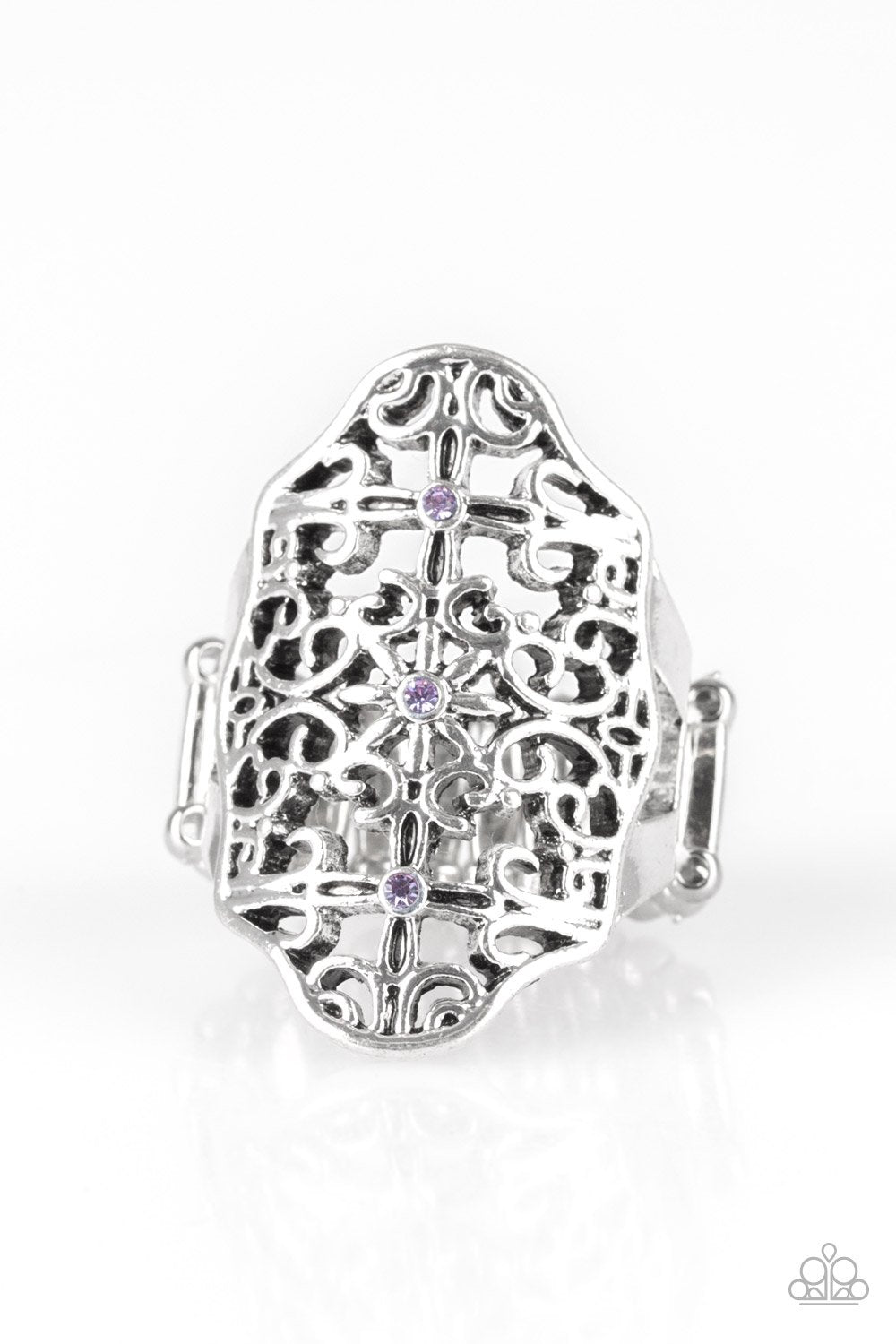 Paparazzi Botanical Beam - Silver Ring