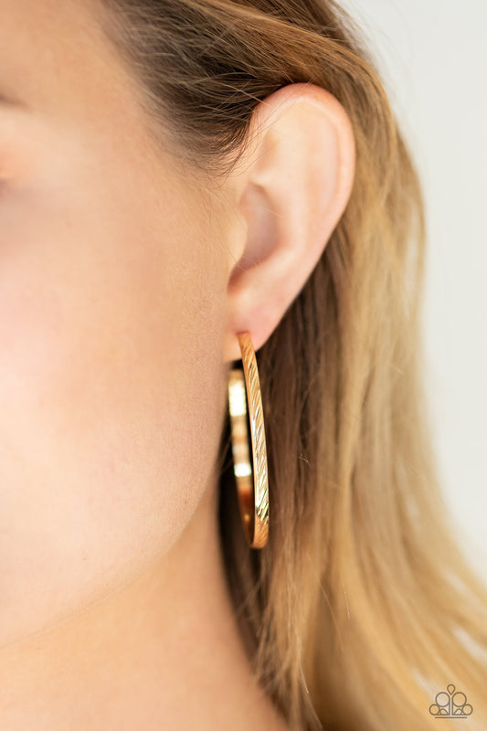 Paparazzi Reporting for Duty - Gold Hoop Earrings 